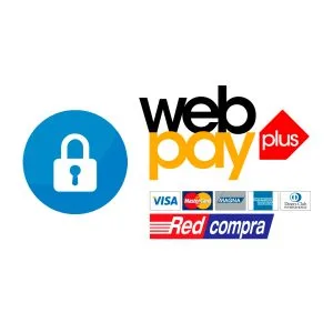 Pago en línea